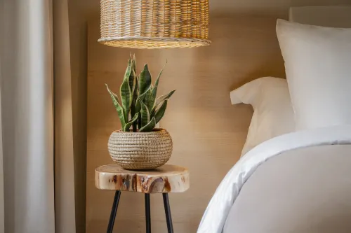 Room Select Via Veneto Rooms Photos