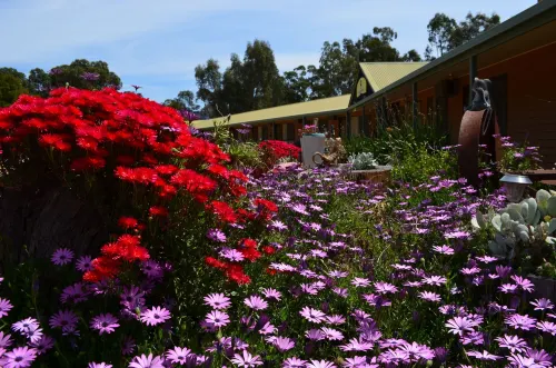 Mountain View Motor Inn & Holiday Lodges Yleiset tilat Photos