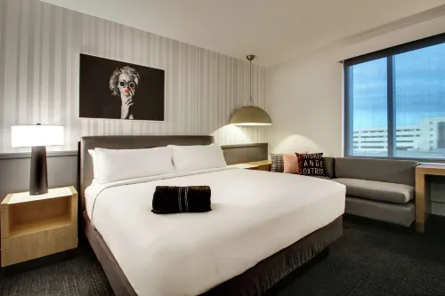 The Rose Hotel Chicago O’Hare, Tapestry Collection by Hilton Rooms Photos
