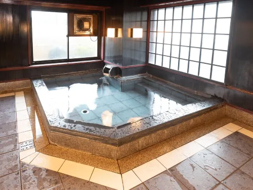 Hotel Castle Inn Suzuka Benessere e tempo libero Photos