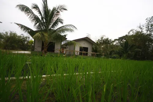 Long Lake Resort Espaces publics Photos