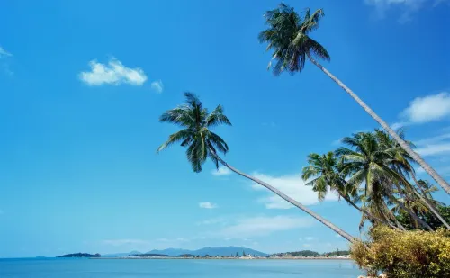 Royal Muang Samui Villas À proximité de l'hôtel Photos