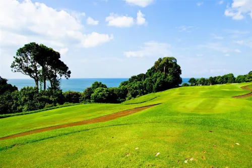 Four Points by Sheraton Bintan, Lagoi Bay Unggulan Photos