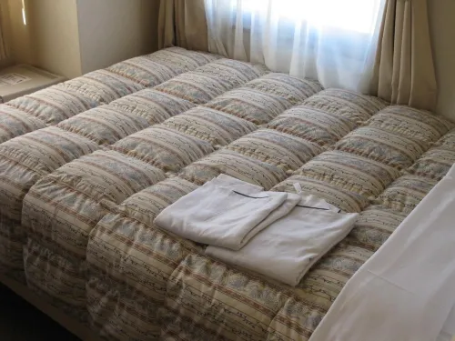 Mito Riverside Hotel الغرف Photos