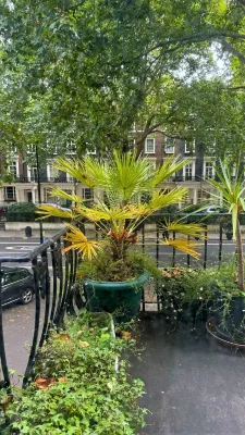 Mitre House Hotel Exterior Photos
