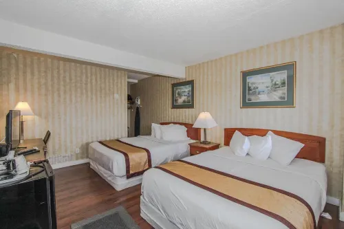 Canadas Best Value Inn Chinook Station Rooms Photos