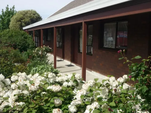 Carisbrook Motel Espaces publics Photos