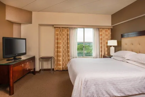 Sheraton Boston Needham Hotel Photos