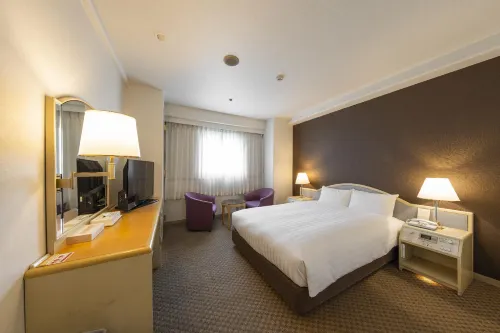 Okayama Washington Hotel Plaza Chambres Photos