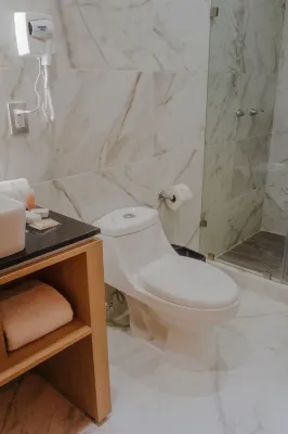 Hotel Kavia Monterrey Rooms Photos