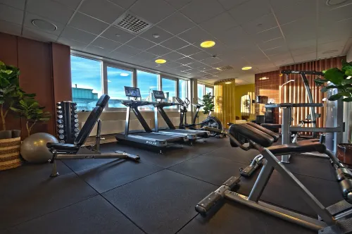 Hotel Birger Jarl Benessere e tempo libero Photos