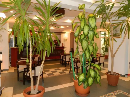 Elizeu Hotel Public Areas Photos