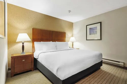 Sandman Hotel & Suites London Downtown Camere Photos