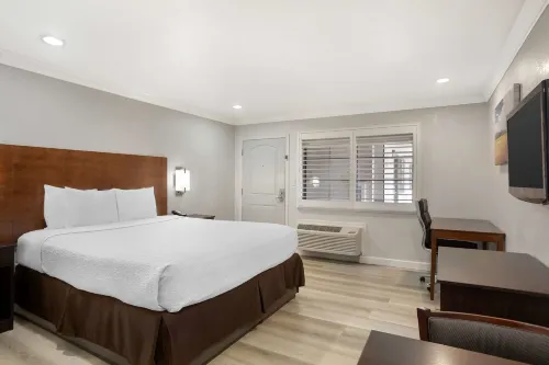 Best Western Inn Photos