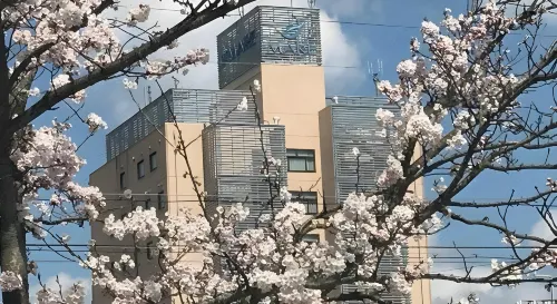 Hotel Bellmare Extérieur Photos
