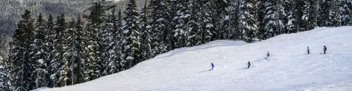 Evolution Whistler Near Hotel Photos
