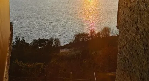 Enjoy Chiloé À proximité de l'hôtel Photos