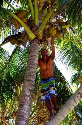 Bamboo Backpackers Espaces publics Photos