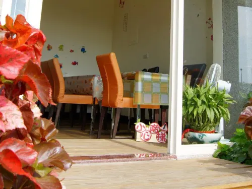 Backpackers Inn Public Areas Photos
