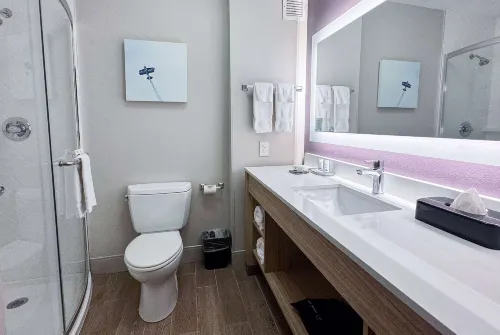 La Quinta Inn & Suites by Wyndham Cincinnati Airpt Florence Rooms Photos