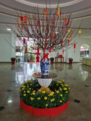 Tan Son Nhat Con Dao Resort Freizeit und Erholung Photos