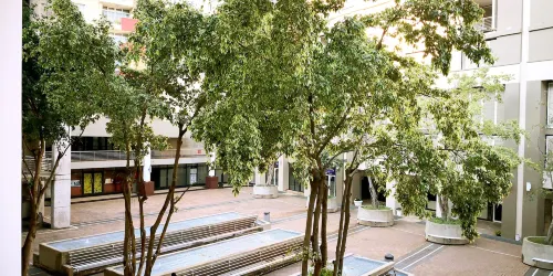 Royal Palm Hotel Общественные зоны Photos