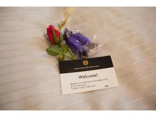 Grand Park Hotel Panex Iwaki Chambres Photos