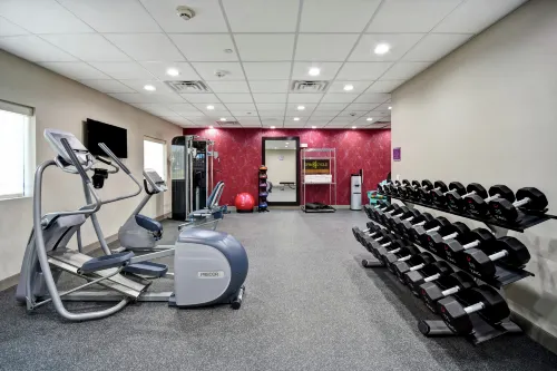 Embassy Suites by Hilton South Bend at Notre Dame Leisure & Recreation Photos