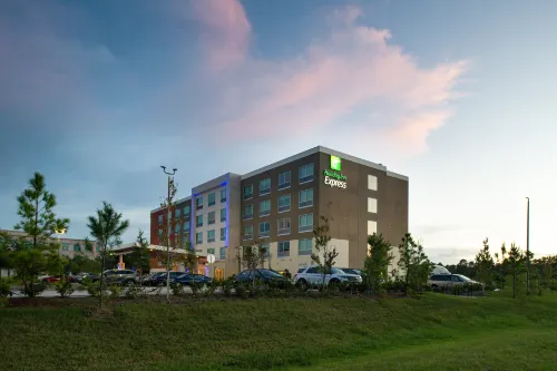 Holiday Inn Express Orlando - South Park Esterni Photos