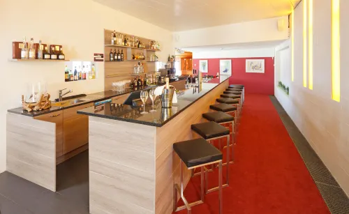Rigi Kaltbad Swiss Quality Hotel Loisirs et amusements Photos