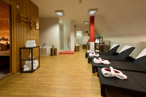 ACHAT Hotel Neustadt an der Weinstraße Freizeit und Erholung Photos