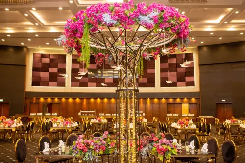 Radisson Blu Hotel & Convention Center, Alexandria Mahlzeiten Photos