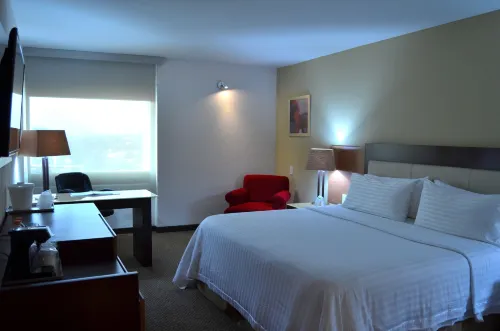 Holiday Inn Guadalajara Select Camere Photos