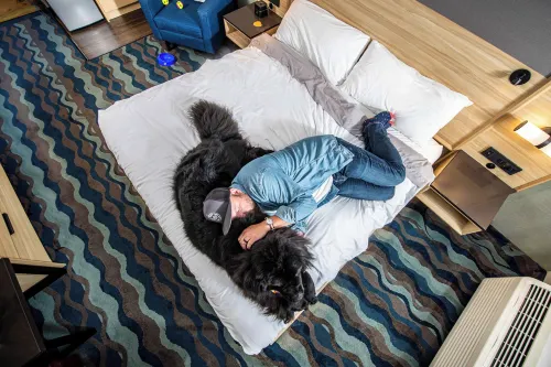 Accent Inns Victoria Photos