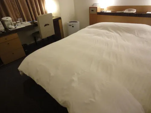 Twin Leaves Hotel Izumo Photos