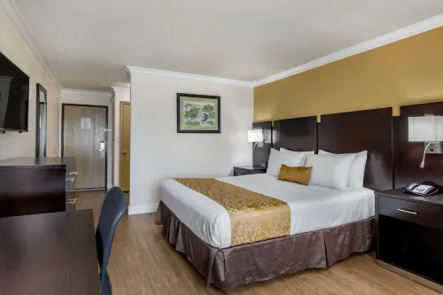 Best Western Plus South Bay Hotel Rooms Photos