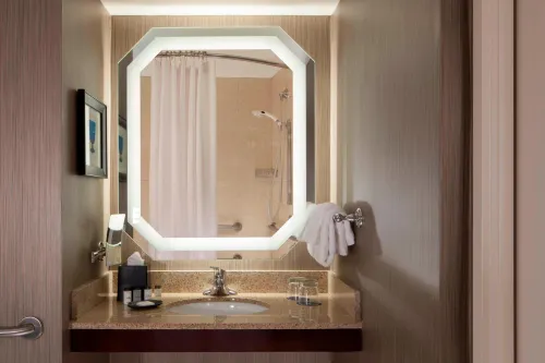 Sheraton DFW Airport Hotel Photos