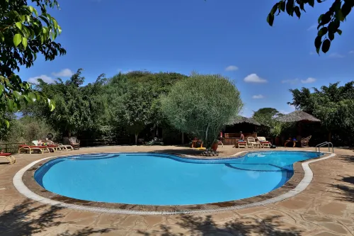 Kibo Safari Camp, Amboseli Loisirs et amusements Photos
