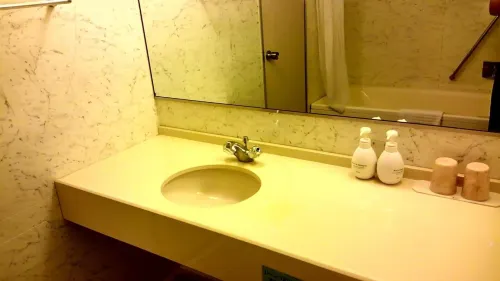 Hotel Hitachi Hills Chambres Photos