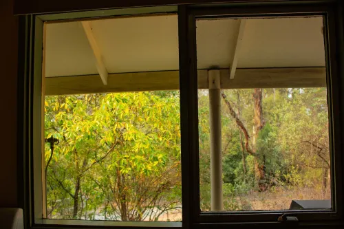 Kalimna Woods Cottages Circondario Photos