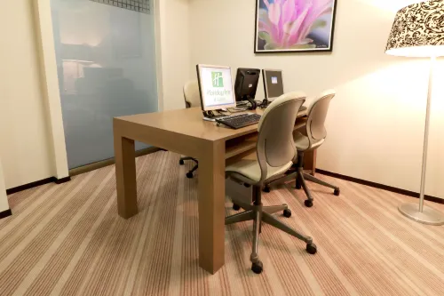 Holiday Inn & Suites Mexico Medica Sur Business Photos