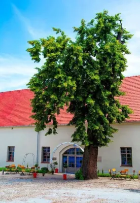 Pałac Wiechlice - Hotel, Restaurant, Spa Espaces publics Photos