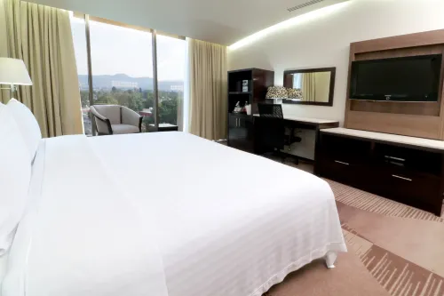 Holiday Inn & Suites Mexico Medica Sur Camere Photos
