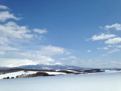 Furano Hops Hotel Circondario Photos