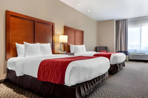 Comfort Inn at Convention Center Rum Photos