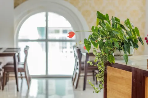 Hotel President Đà Lạt Ăn uống Photos