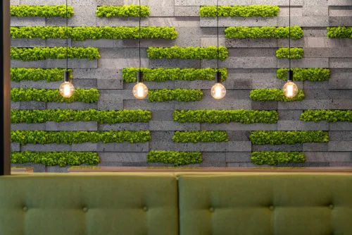 Neat Hotel Avenida Photos