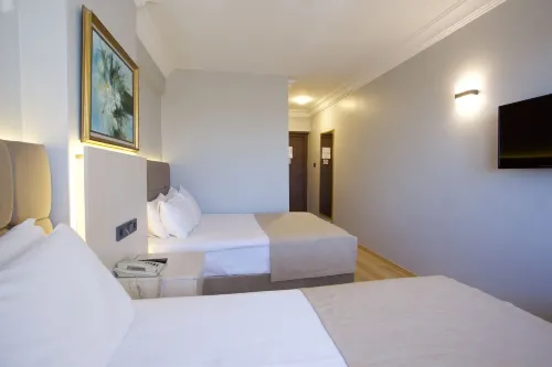 Grand Ant Hotel Photos