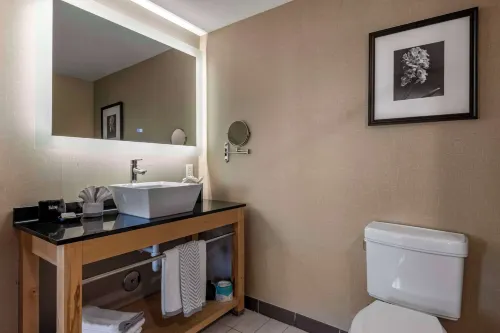 Cambria Hotel Ft Lauderdale, Airport South & Cruise Port Camere Photos