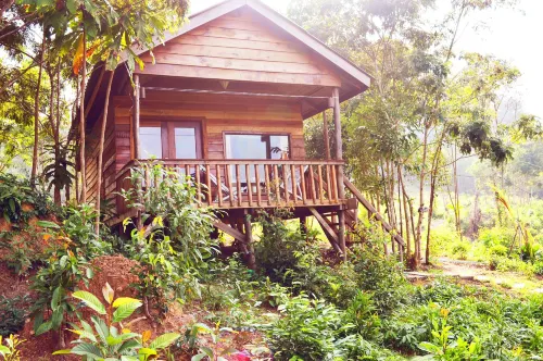 Palm Beach Bungalow Resort Extérieur Photos